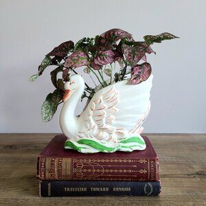 Vintage ceramic planter swan shaped.